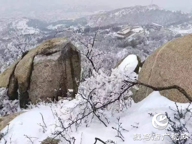 美呆了！羅漢山開啟雪凇、霧凇雙景齊現模式