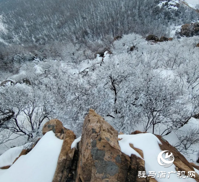 美呆了！羅漢山開啟雪凇、霧凇雙景齊現模式