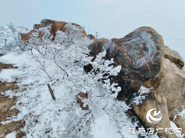 美呆了！羅漢山開啟雪凇、霧凇雙景齊現模式