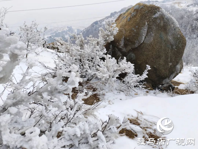 美呆了！羅漢山開啟雪凇、霧凇雙景齊現模式
