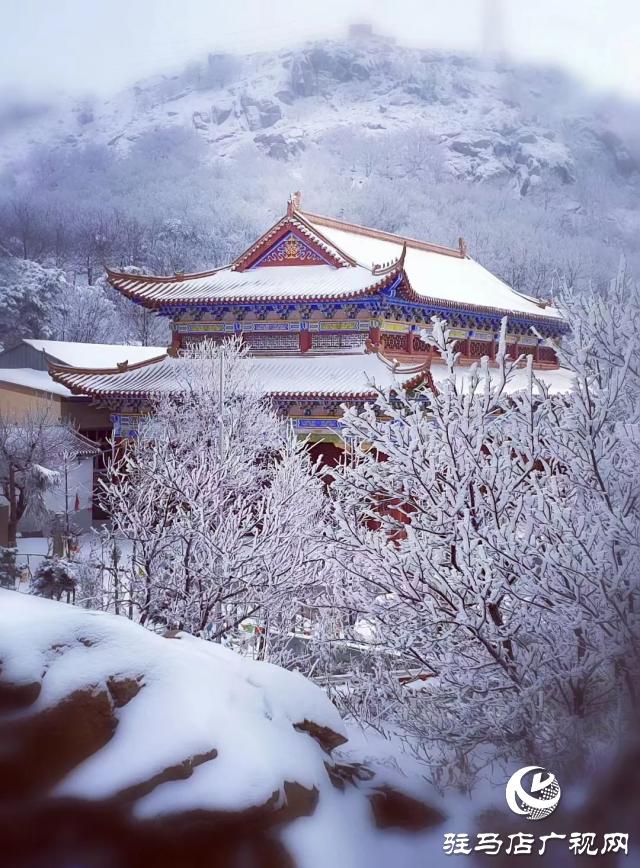 美呆了！羅漢山開啟雪凇、霧凇雙景齊現模式