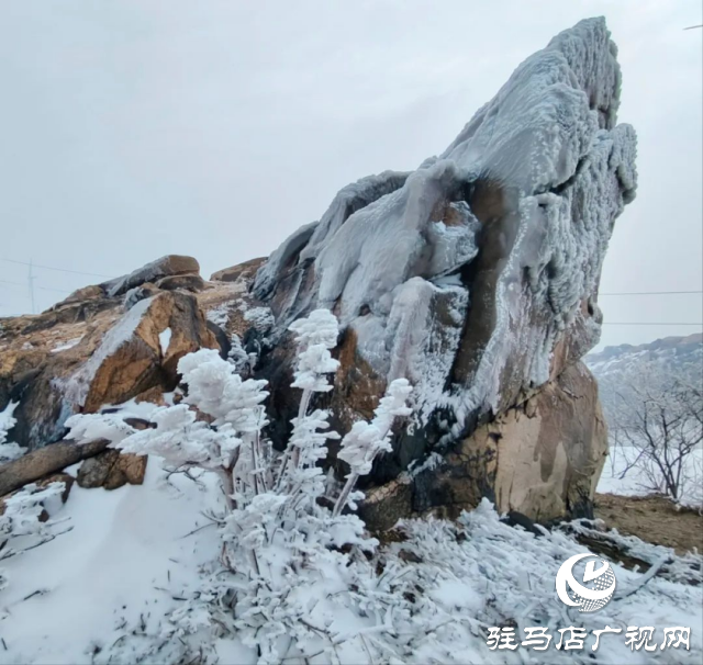美呆了！羅漢山開啟雪凇、霧凇雙景齊現模式