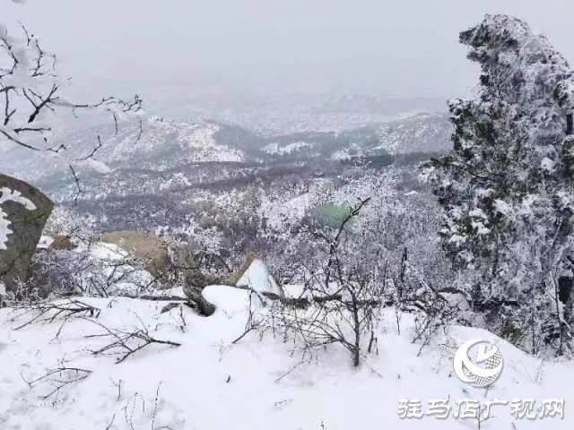 美呆了！羅漢山開啟雪凇、霧凇雙景齊現模式