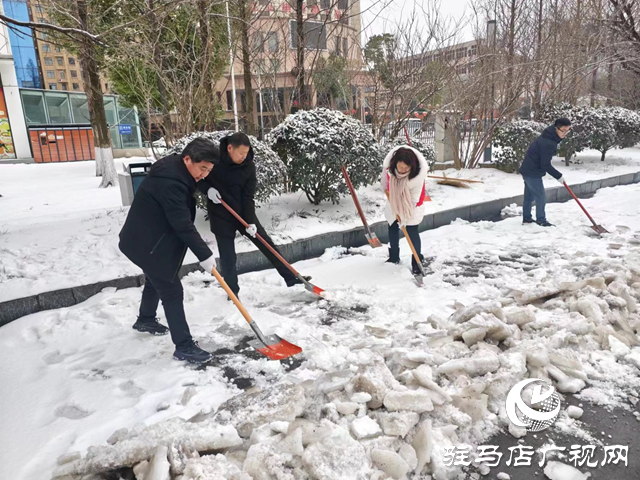 西平縣紀委監委開展掃雪除冰志愿服務活動