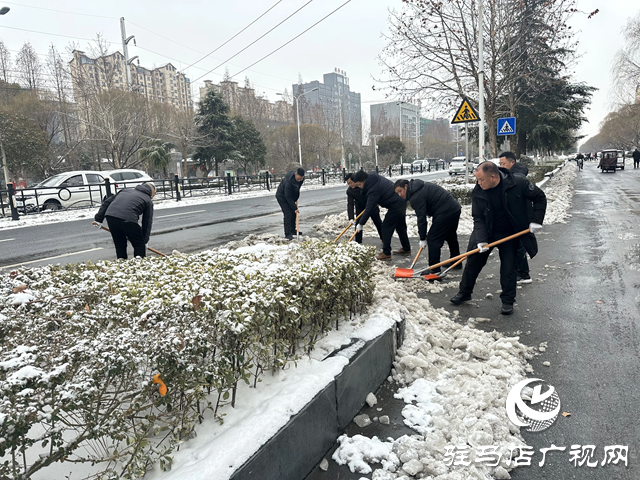西平縣紀委監委開展掃雪除冰志愿服務活動