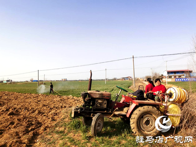 泌陽縣泰山廟鎮：搶時趕早備春耕 不負農時好春光