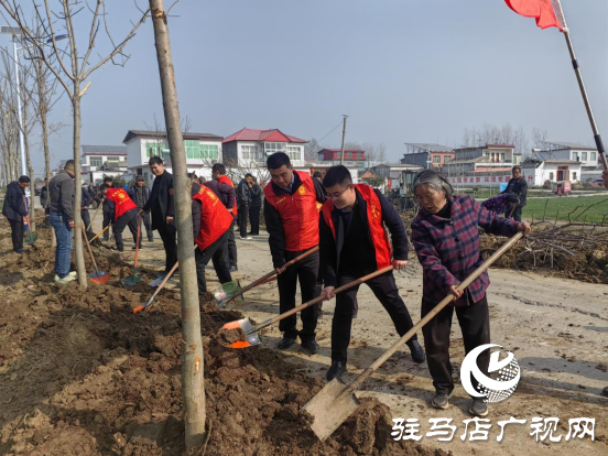 平輿縣李屯鎮組織開展2024年全民義務植樹志愿服務活動