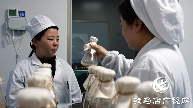 巾幗風采綻芳華‖天方藥業菌種工藝班組：專注菌種選育培養 助力企業發展