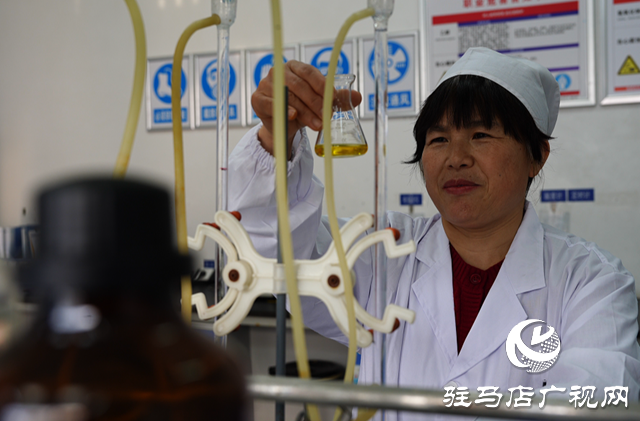 巾幗風采綻芳華‖天方藥業菌種工藝班組：專注菌種選育培養 助力企業發展