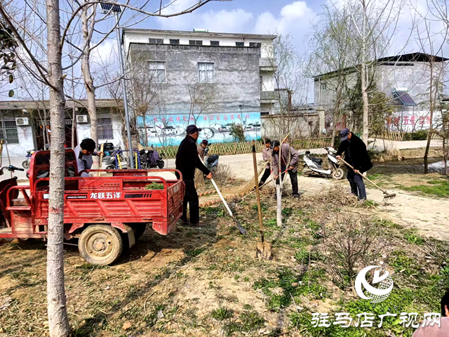 新蔡縣頓崗鄉緊抓人居環境整治助推“生態宜居星”創建