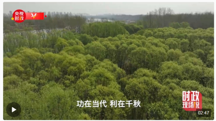 時政現場說丨植樹添新綠 不負好時節