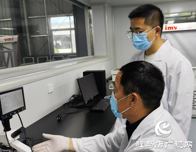全國兩會精神進基層||泌陽縣夏南牛科技開發有限公司：加快發展新質生產力 推動肉牛產業發展壯大
