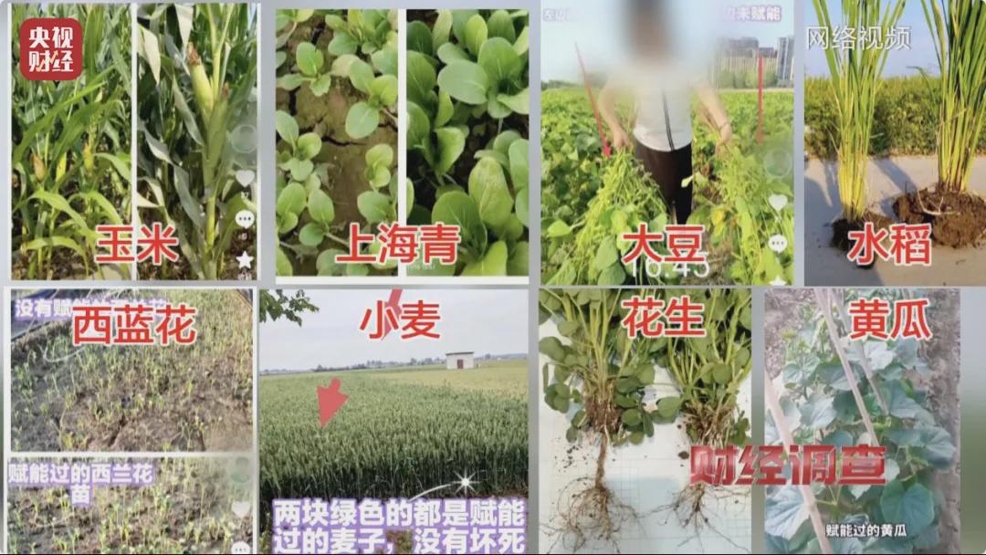 村里又現“坑農黑手”！“量子科技”新騙局曝光