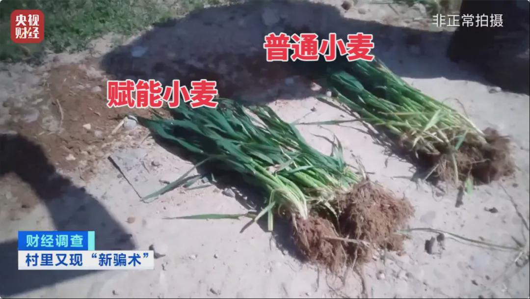 村里又現“坑農黑手”！“量子科技”新騙局曝光
