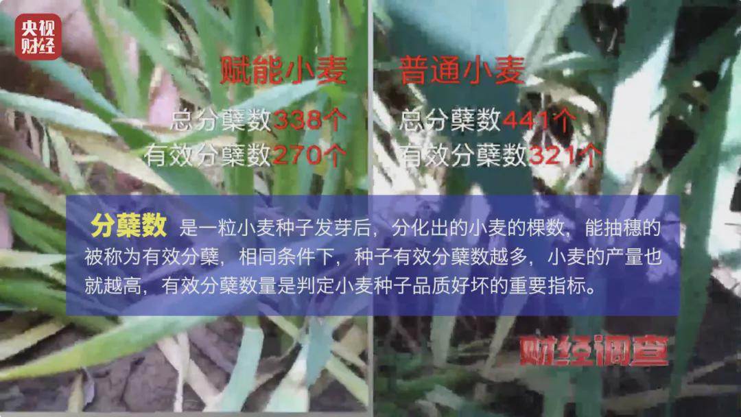 村里又現“坑農黑手”！“量子科技”新騙局曝光