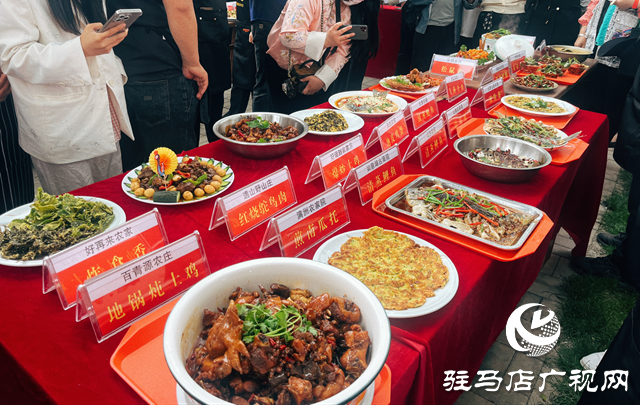 驛城區蟻蜂鎮：農家廚藝顯身手 地方美食大比拼