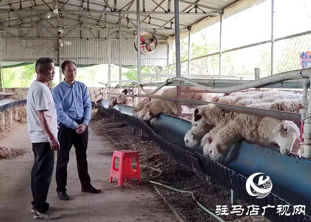 泌陽縣雙廟鄉溝李村：牛羊養殖讓村民的腰包鼓起來