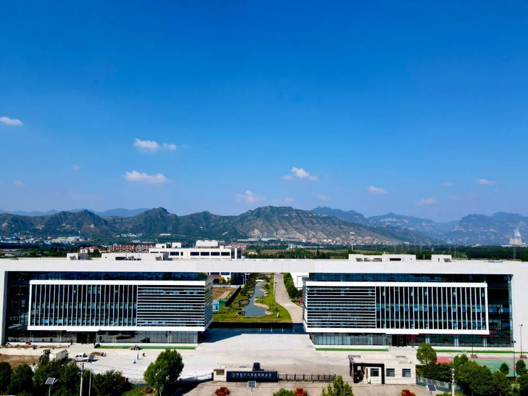 河南一藥企年收增長超30%，連續三年為員工加薪10%｜民營企業向新進化