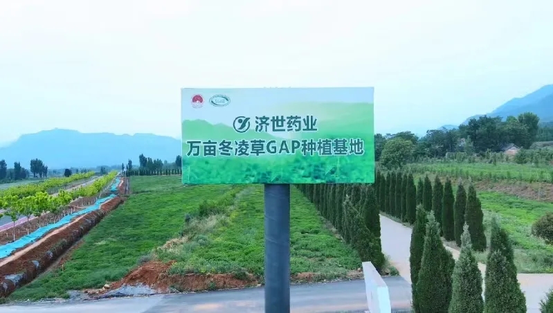 河南一藥企年收增長超30%，連續三年為員工加薪10%｜民營企業向新進化