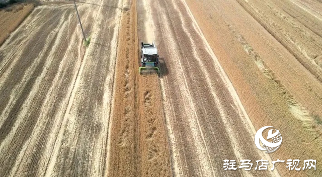 遂平縣：“三夏”機(jī)收會(huì)戰(zhàn)拉開(kāi)序幕