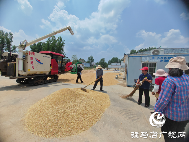 十五載追逐麥浪 助農民顆粒歸倉 平輿縣90后網紅夫婦開收割機縱橫中國跨區搶收