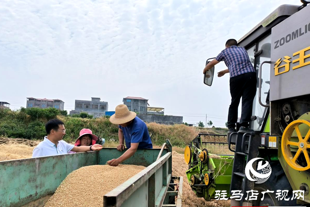 泌陽縣王店鎮：全力抓好“三夏”生產 確保夏糧豐產豐收