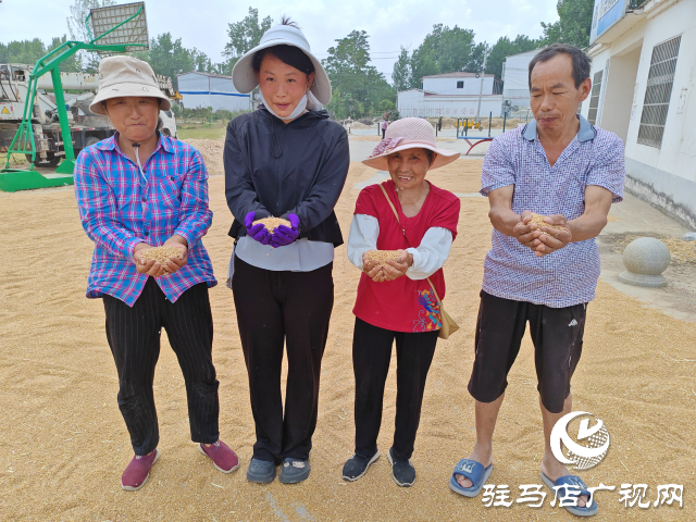 十五載追逐麥浪 助農民顆粒歸倉 平輿縣90后網紅夫婦開收割機縱橫中國跨區搶收