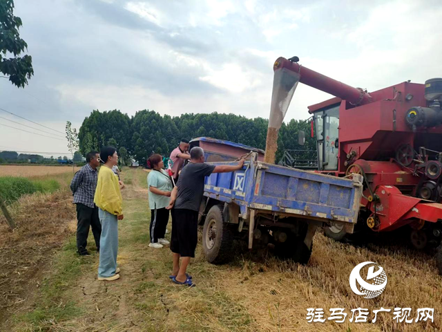 平輿縣李屯鎮：黨建引領聚合力 “三夏”時節保豐收