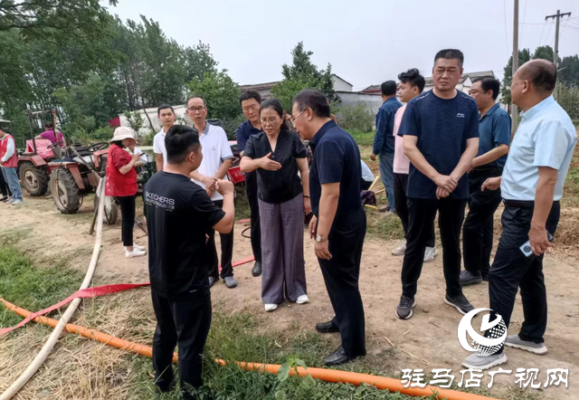 駐馬店市城鄉一體化示范區管委會主任馬桂榮調研抗旱保夏種工作