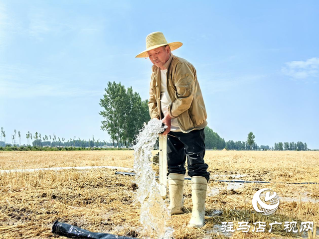 驛城區：搶抓農時 全面抗旱搶種保豐收