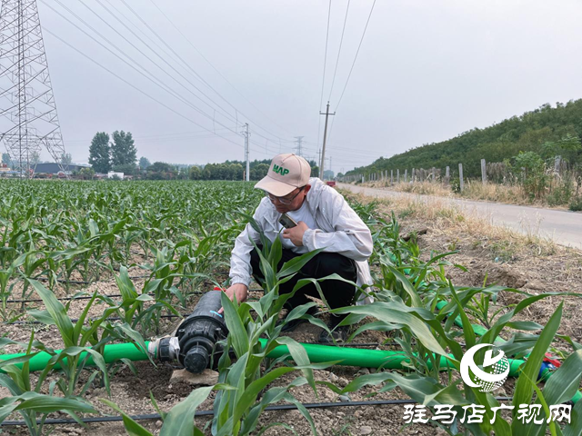 驛城區水屯鎮：抗旱造墑 搶種保苗
