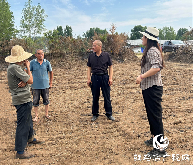驛城區：駐村工作隊變抗旱“先鋒軍”