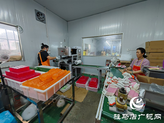 平輿縣東皇街道： 抓黨建促鄉村振興 為基層治理走深走實保駕護航