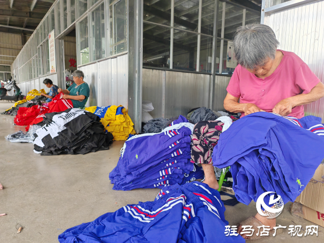 平輿縣辛店鄉黃寨村：以黨建“雙提升”活動為載體推進“三園”建設不斷加速