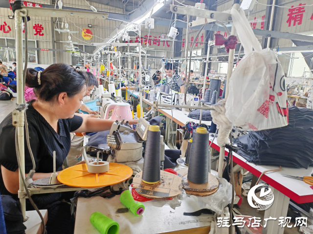 平輿縣辛店鄉黃寨村：以黨建“雙提升”活動為載體推進“三園”建設不斷加速