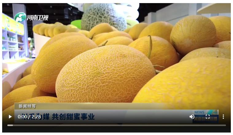 以瓜為媒 共創甜蜜事業丨新聞特寫