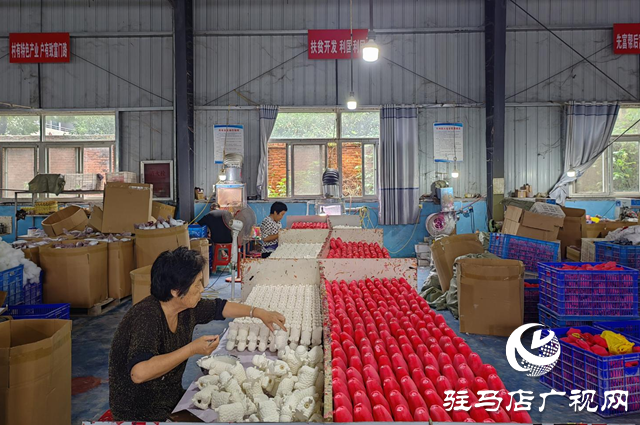 驛城區老河鄉：工廠建在家門口 產業就業“雙豐收”