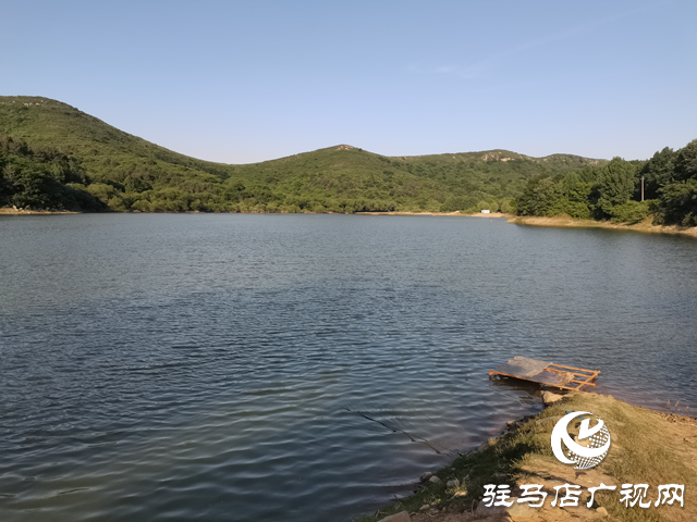 驛城區胡廟鄉：守護綠水青山 共筑生態家園