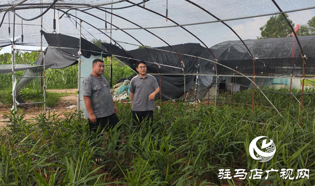 駐馬店：深入貫徹黨的二十屆三中全會精神 譜寫鄉村振興新篇章