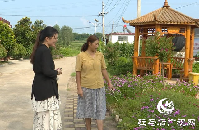 驛城區老關莊村：繪就美麗宜居新畫卷