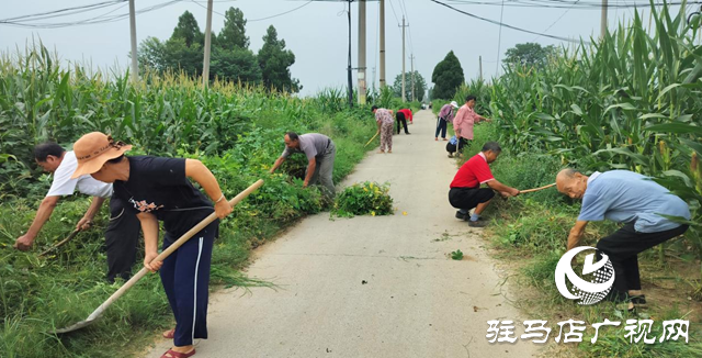 驛城區朱古洞鄉：黨建引領抓整治 和美鄉村煥新顏
