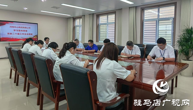 河南樂山電纜：以全會精神為指引 實現企業高質量發展