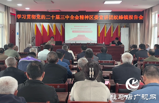驛城區蟻蜂鎮召開學習貫徹黨的二十屆三中全會精神宣講會