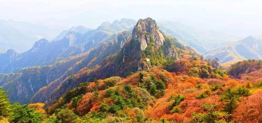 河南紅葉進入最佳觀賞期！這10個景點，周末推薦帶娃去！