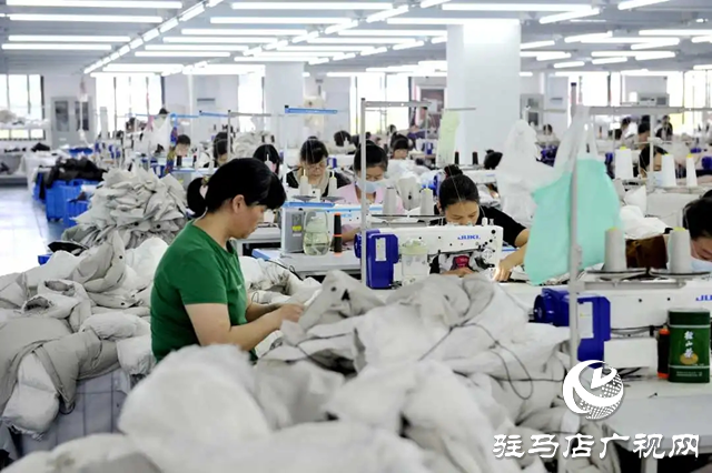 新蔡縣：優化營商環境 厚植企業發展沃土