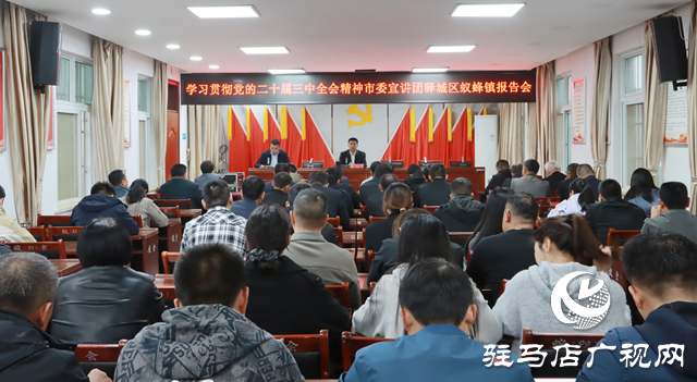 學習貫徹黨的二十屆三中全會精神市委宣講團報告會在驛城區蟻蜂鎮舉行
