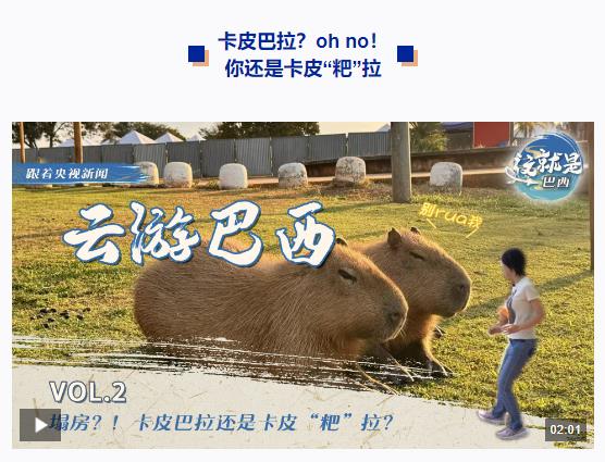 跟著習主席看世界丨什么友誼，像長江和亞馬孫河一樣奔騰不息！