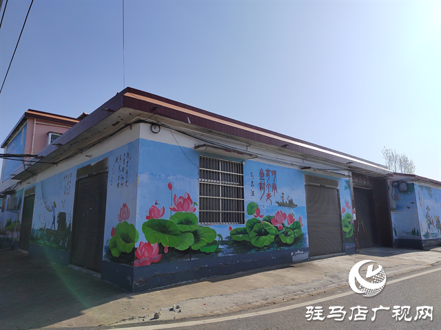 西平縣專探鄉水泉汪村：聚焦“五星”支部創建 繪就鄉村振興新畫卷