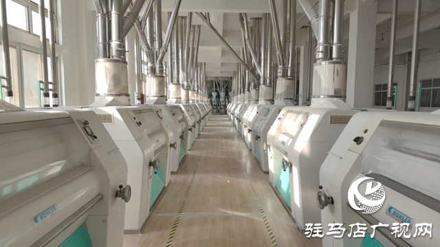 一加一面粉：智能制造引領企業創新發展