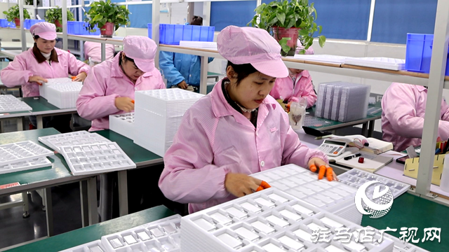 正陽縣：各企業復工復產沖刺“開門紅”